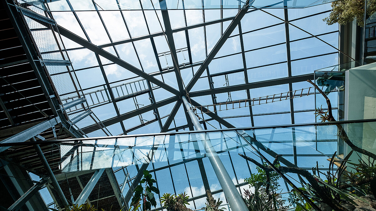 View of the PR60 glass structure at Zoo Neuwied with plants and climbing elements in the foreground.