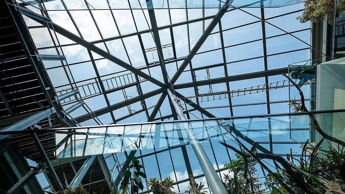 View of the PR60 glass structure at Zoo Neuwied with plants and climbing elements in the foreground.