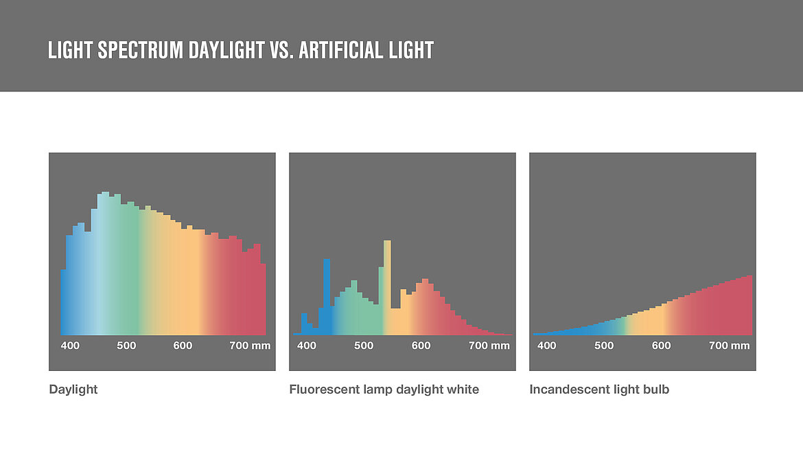 Light spectrum daylight vs. artificial light Graphic light spectrum daylight vs. artificial light | insights by LAMILUX
