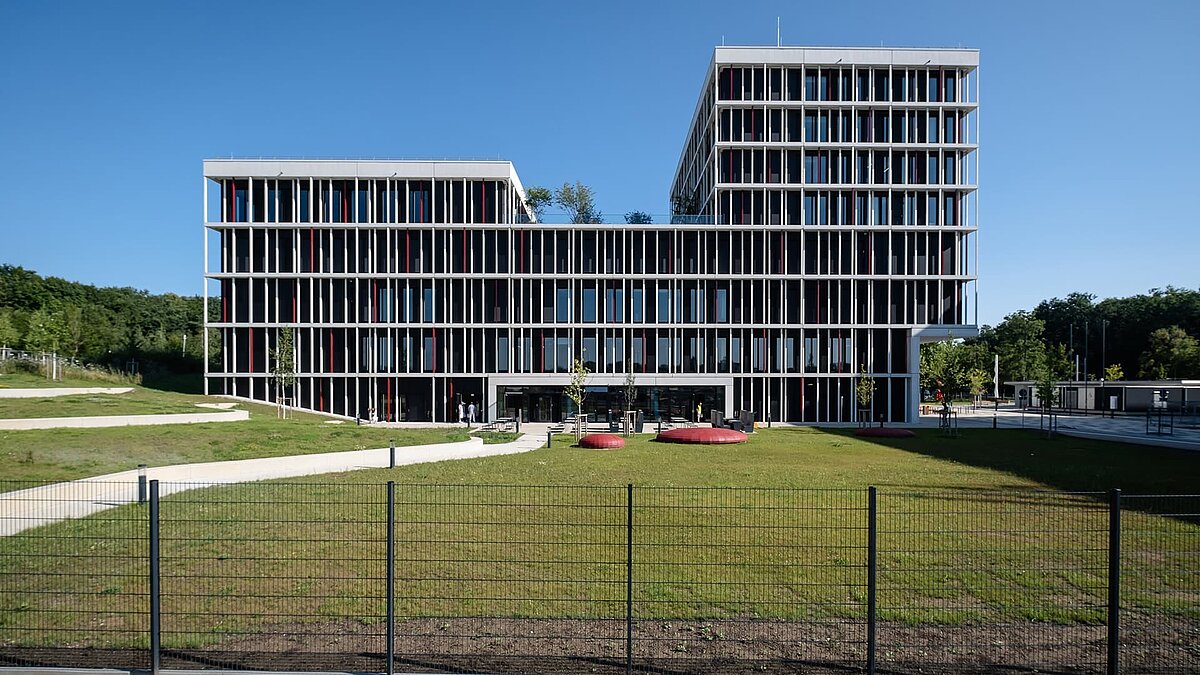 Modern office building with glass facade and green outdoor area in sunshine