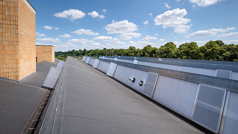 Double flap of roda Phoenix