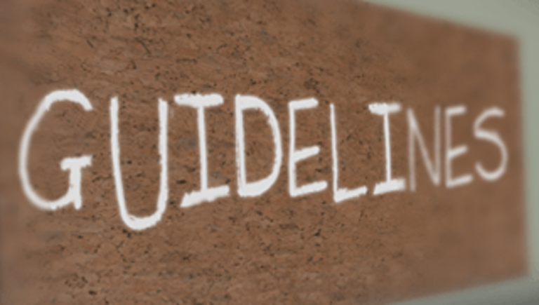 Company guidelines