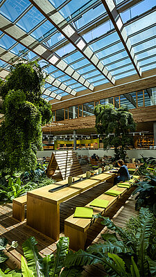 LAMILUX Glass Roof PR60 - Byodo Mühldorf, Germany