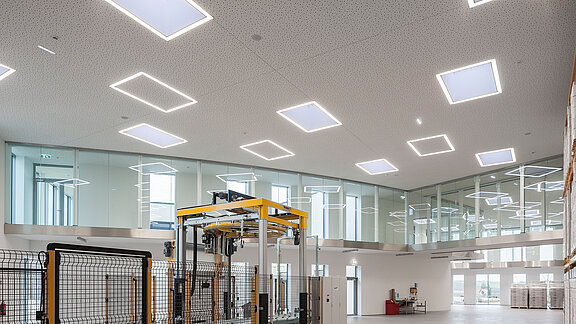 Exterior view of the roof of the Zaltech building in Moosdorf, Austria, with LAMILUX F100 flat roof windows and FE round flat roof windows.