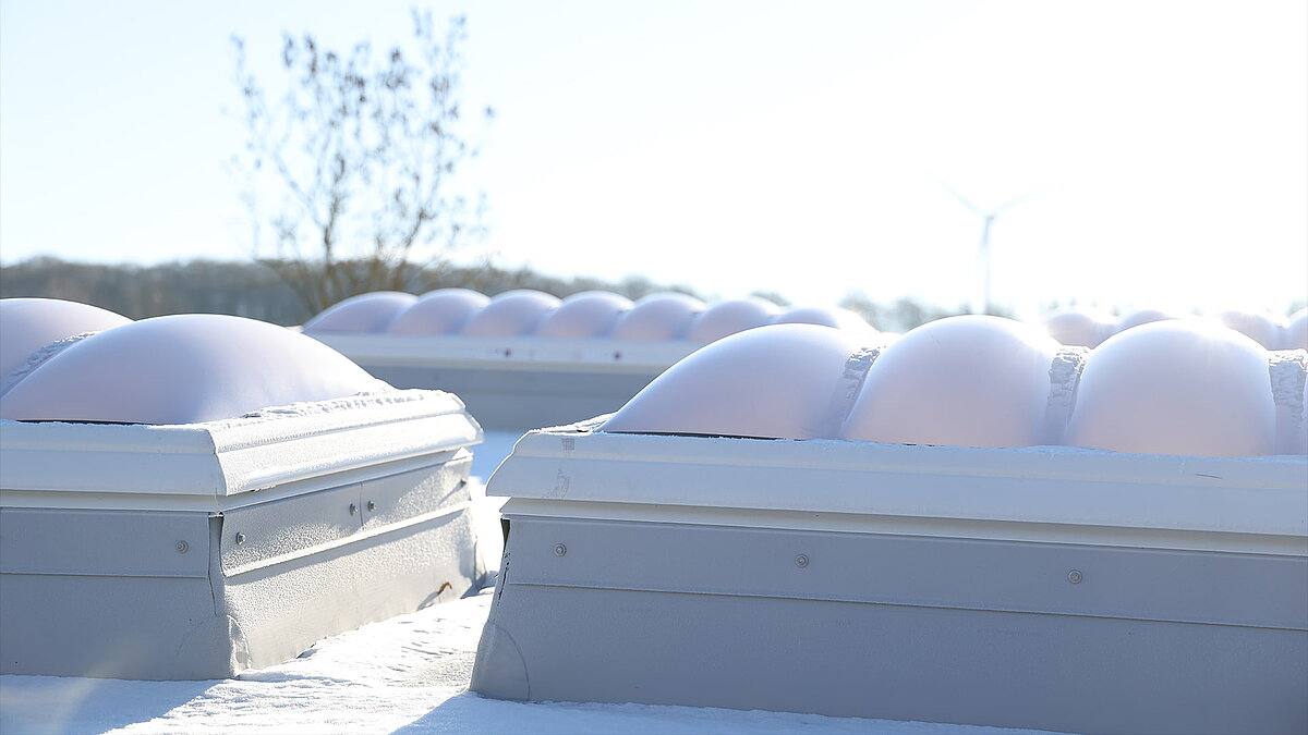 Several undulating skylight domes covered in snow.