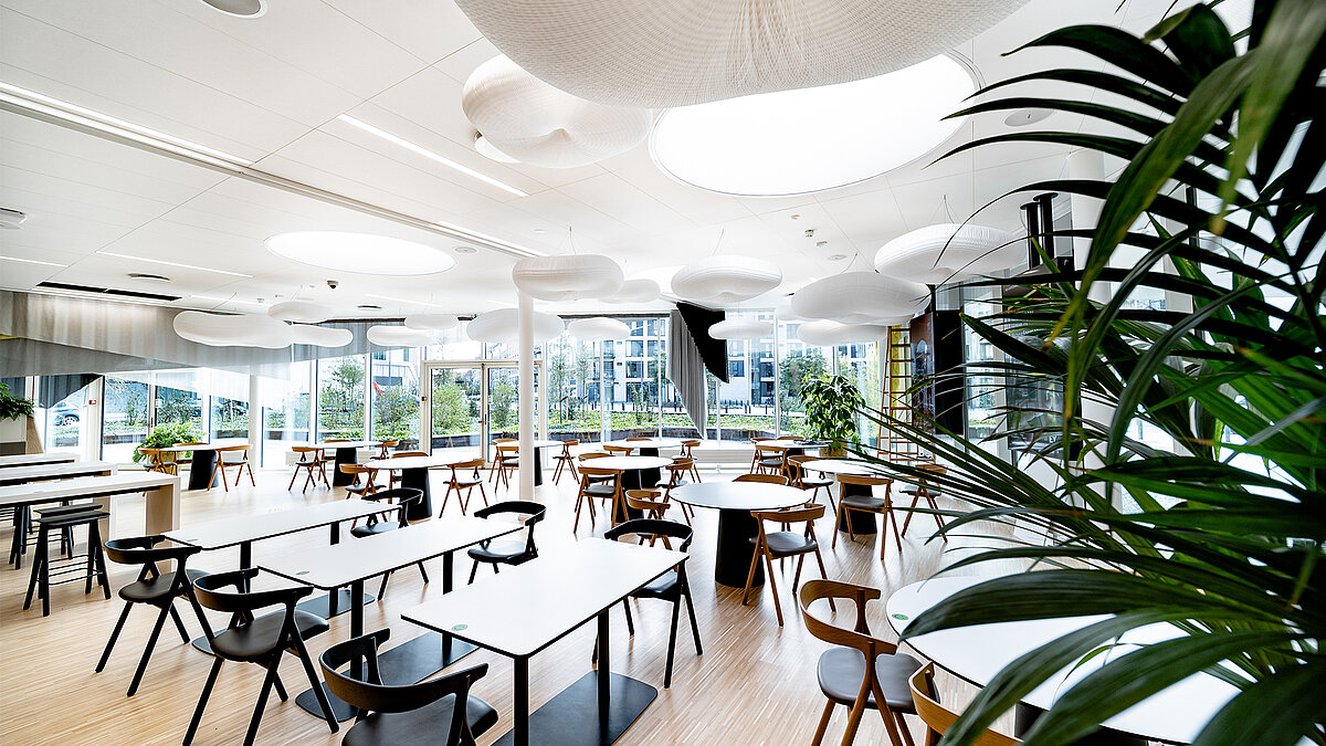 Ernst & Young office building with modern lounge area, circular skylights and large glass facade