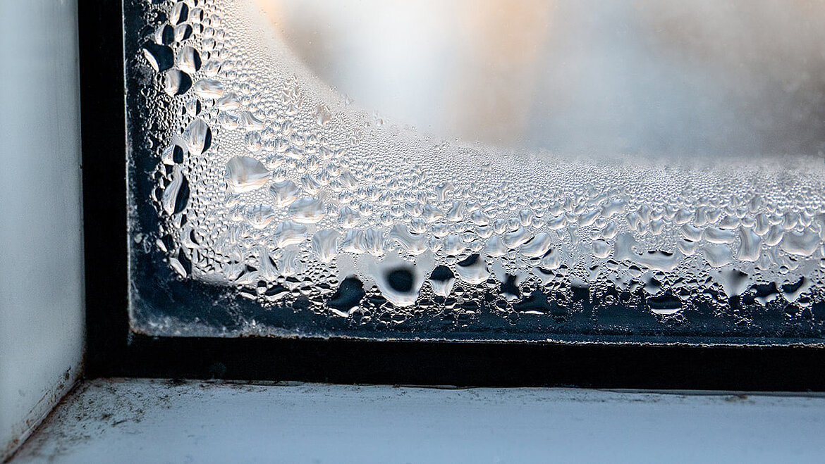 Condensation on window | insights by LAMILUX