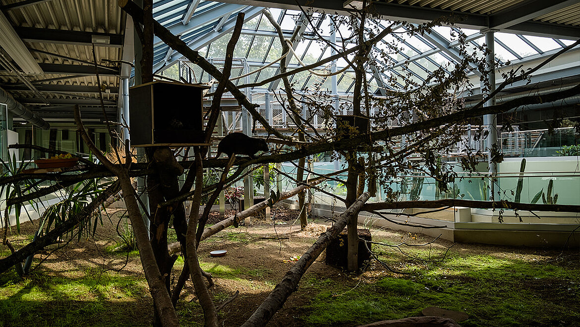 Animal enclosures at Neuwied Zoo Animal enclosures at Neuwied Zoo | insights by LAMILUX