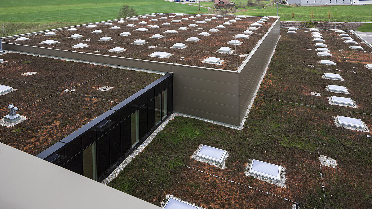 Green roof at Zaltech in Moosdorf, Austria, featuring LAMILUX flat roof windows F100 and round flat roof windows FE.