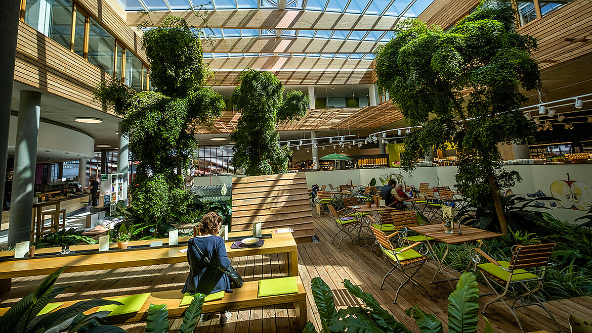 Byodo Mühlendorf with large glass roof windows, lots of green plants and a seating area in a natural atmosphere