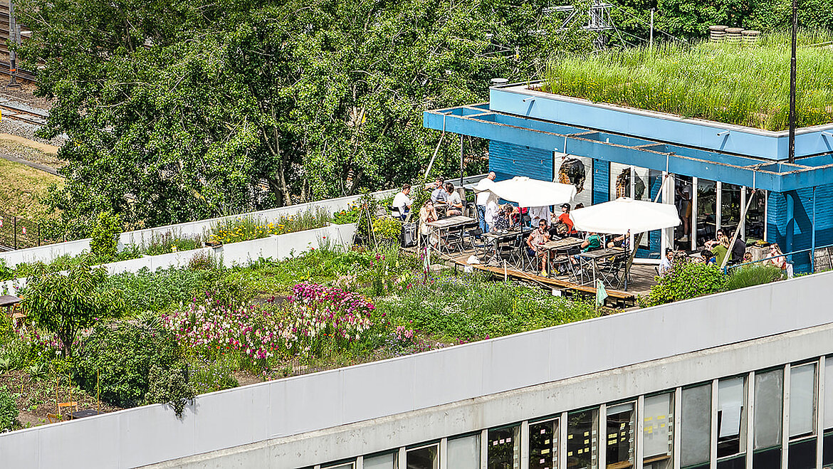 Intensively greened roof as a roof garden