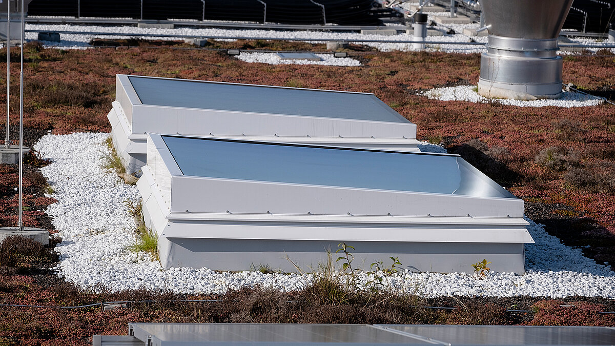 Flat roof of the "World of Kids" kindergarten with green roofing and modern daylight systems.