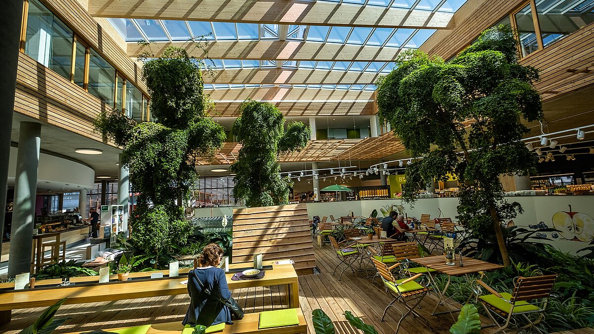 Bright interior of the Byodo organic food store in Mühldorf featuring large glass skylights, wooden cladding, and green plants.