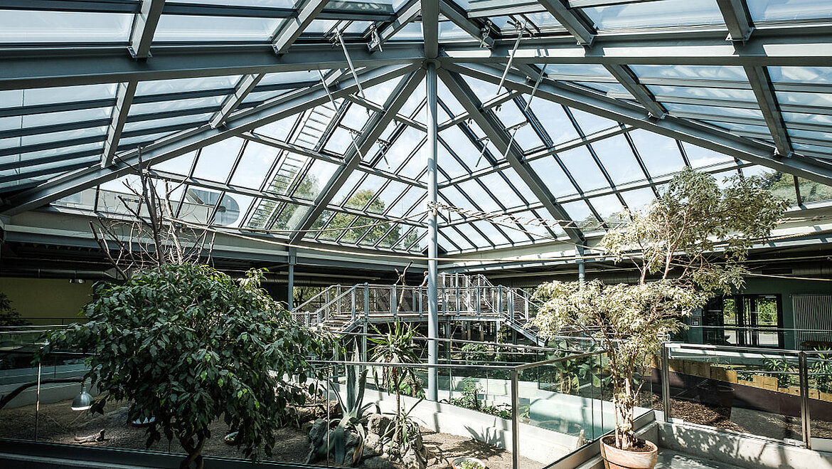 Glass pyramid at Neuwied Zoo Glass pyramid at Neuwied Zoo | insights by LAMILUX