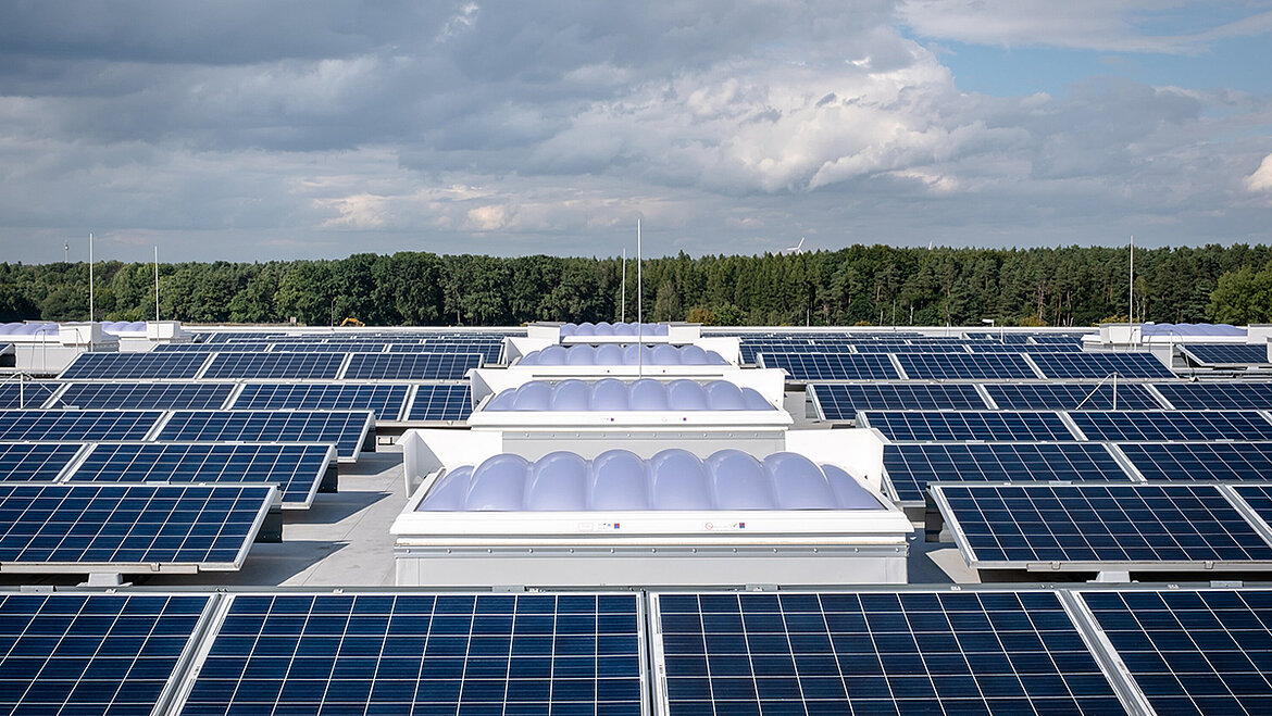 Flat roof with numerous solar panels and integrated skylights in front of a forest landscape