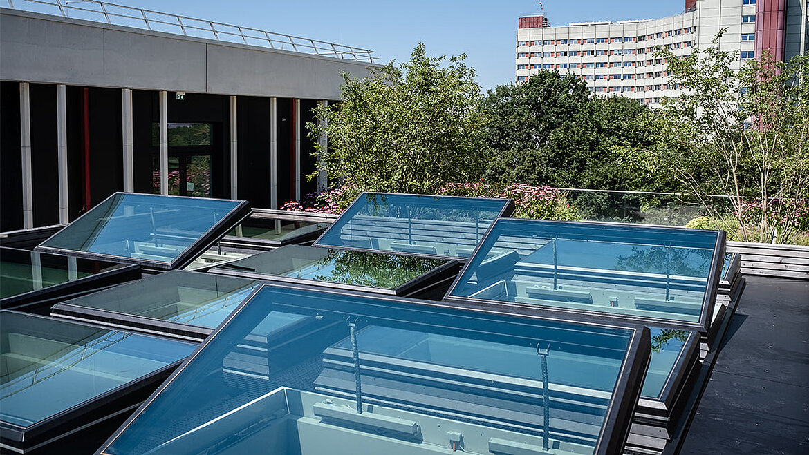 Multiple flat roof windows for maximum daylight