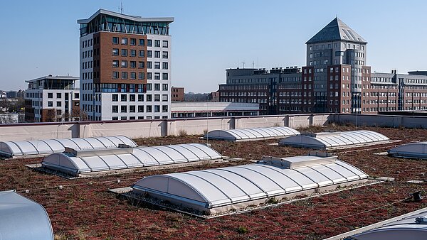 Green roof with flat roof exits at the Hamburg State Opera's storage facility, surrounded by modern office buildings.