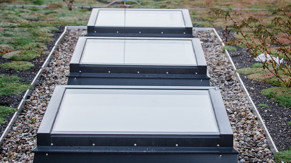 Flat roof windows on the green roof of the Markgraf-Georg-Friedrich-Gymnasium in Kulmbach.