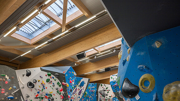 Professional indoor bouldering gym featuring colorful climbing holds, varied wall angles, and wooden beam ceiling with continuous rooflights