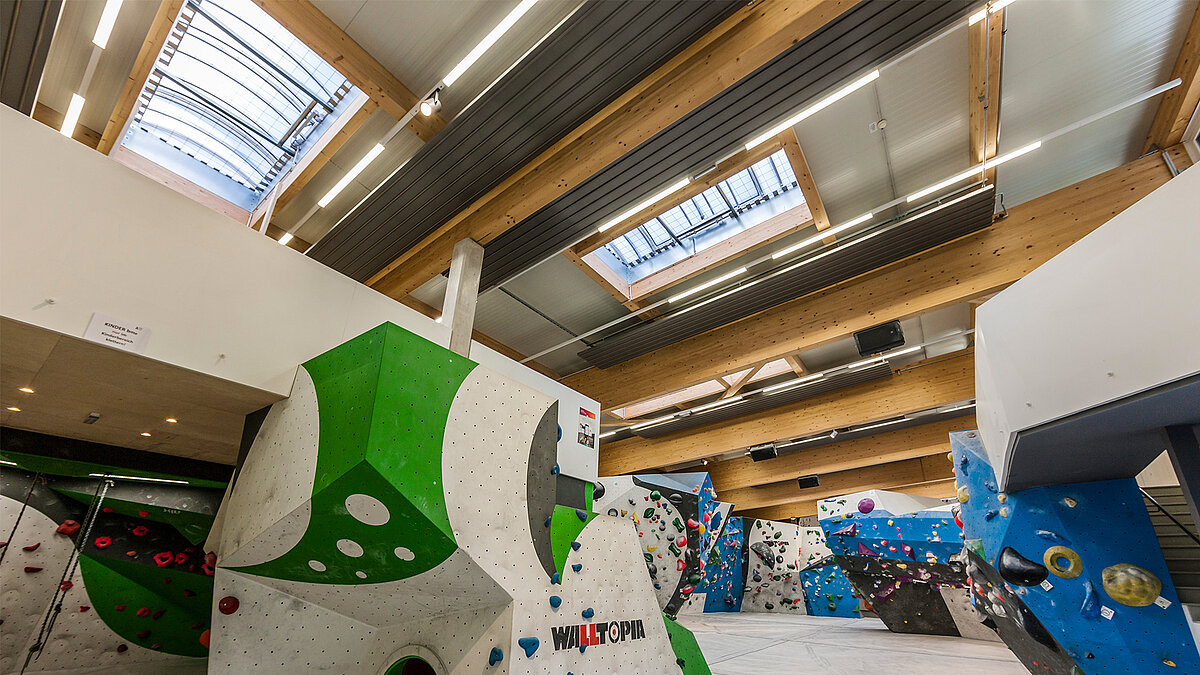 A modern bouldering centre with climbing walls, a wooden ceiling and continuous rooflights
