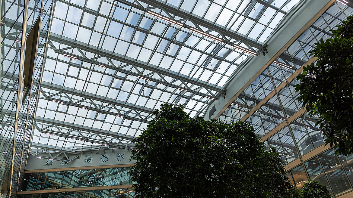 Modern atrium with a glass roof and tropical plants