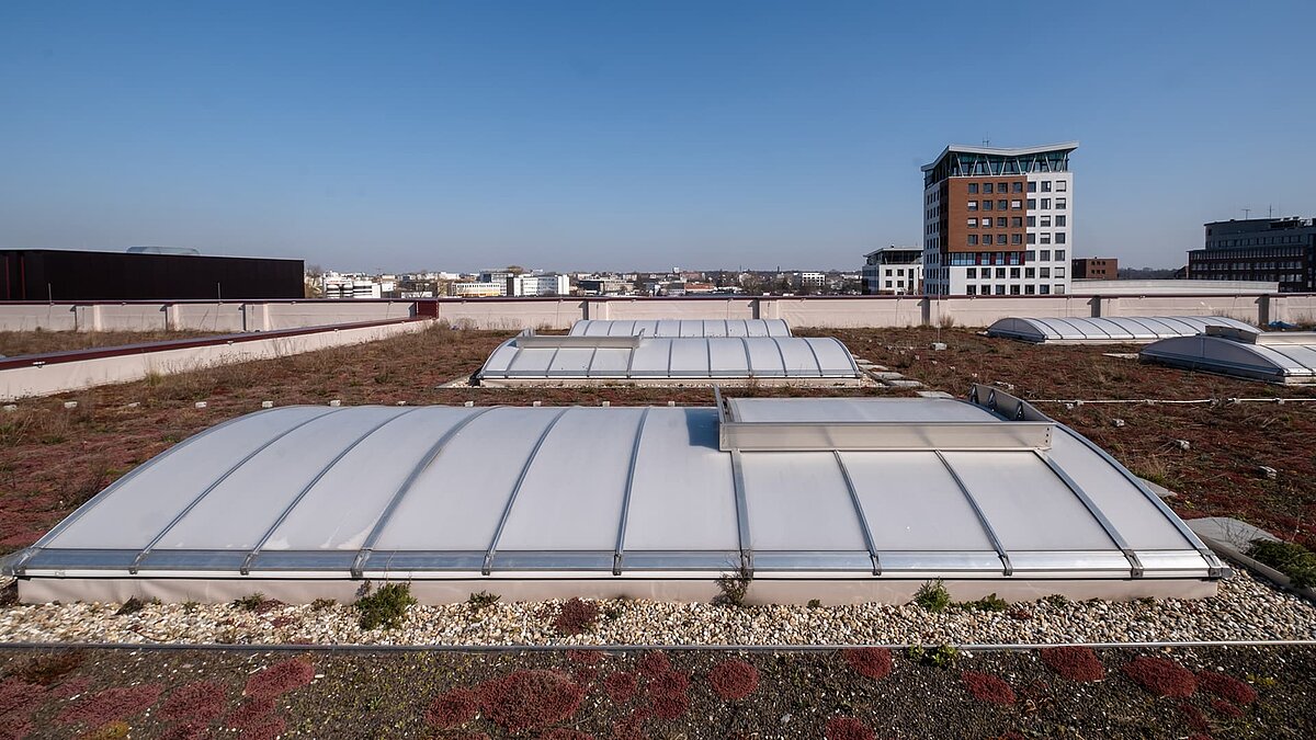 Green flat roof of the Hamburg State Opera's storage facility with curved skylights and a flat roof exit, modern buildings in the background.