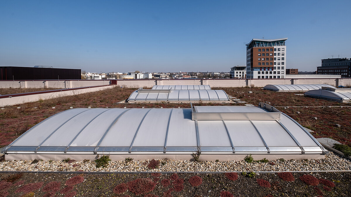 Green flat roof of the Hamburg State Opera's storage facility with curved skylights and a flat roof exit, modern buildings in the background.