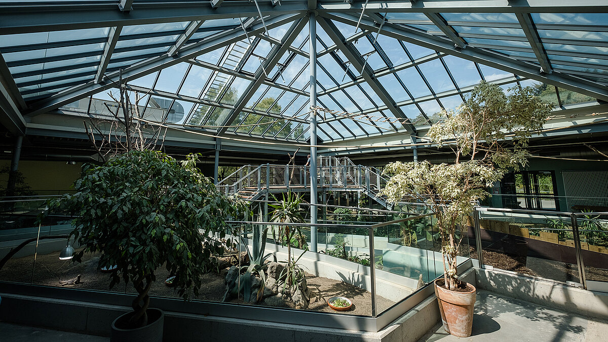Interior view of Zoo Neuwied with the PR60 glass structure, plants, and enclosures.