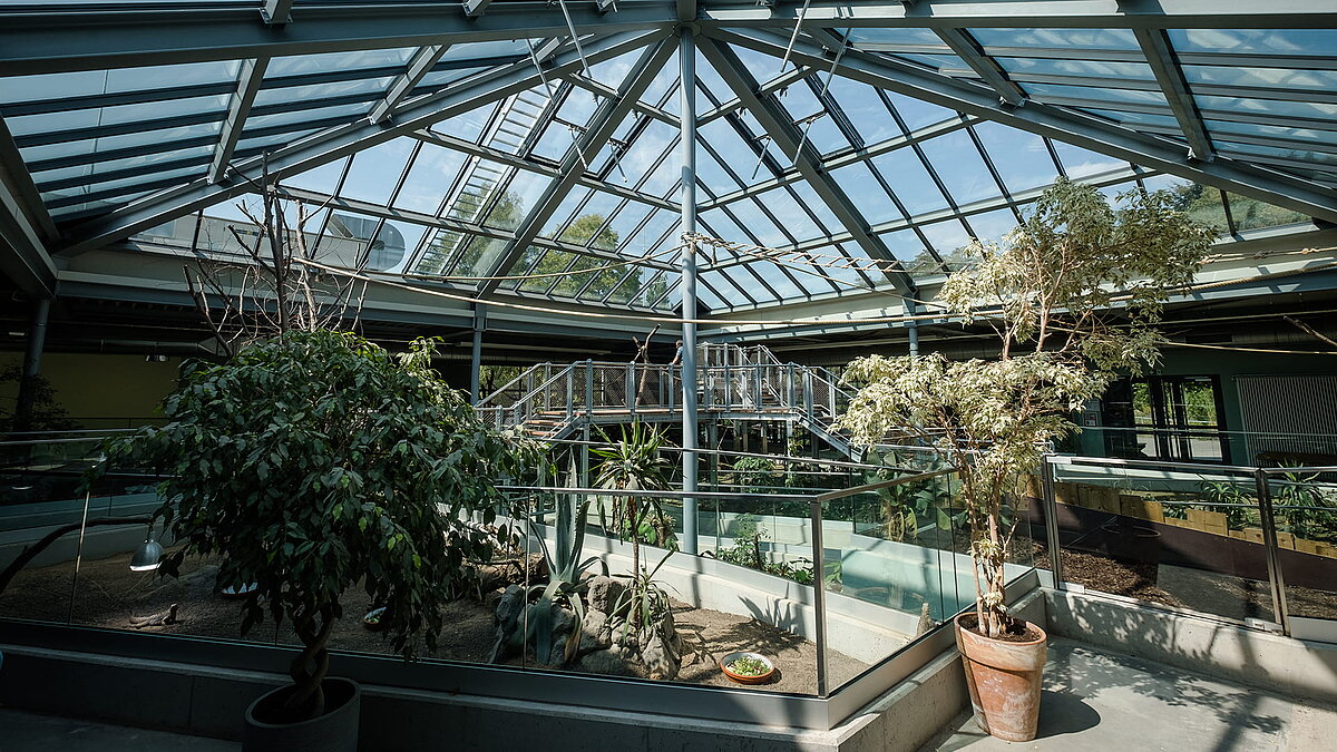 Interior view of Zoo Neuwied with the PR60 glass structure, plants, and enclosures.