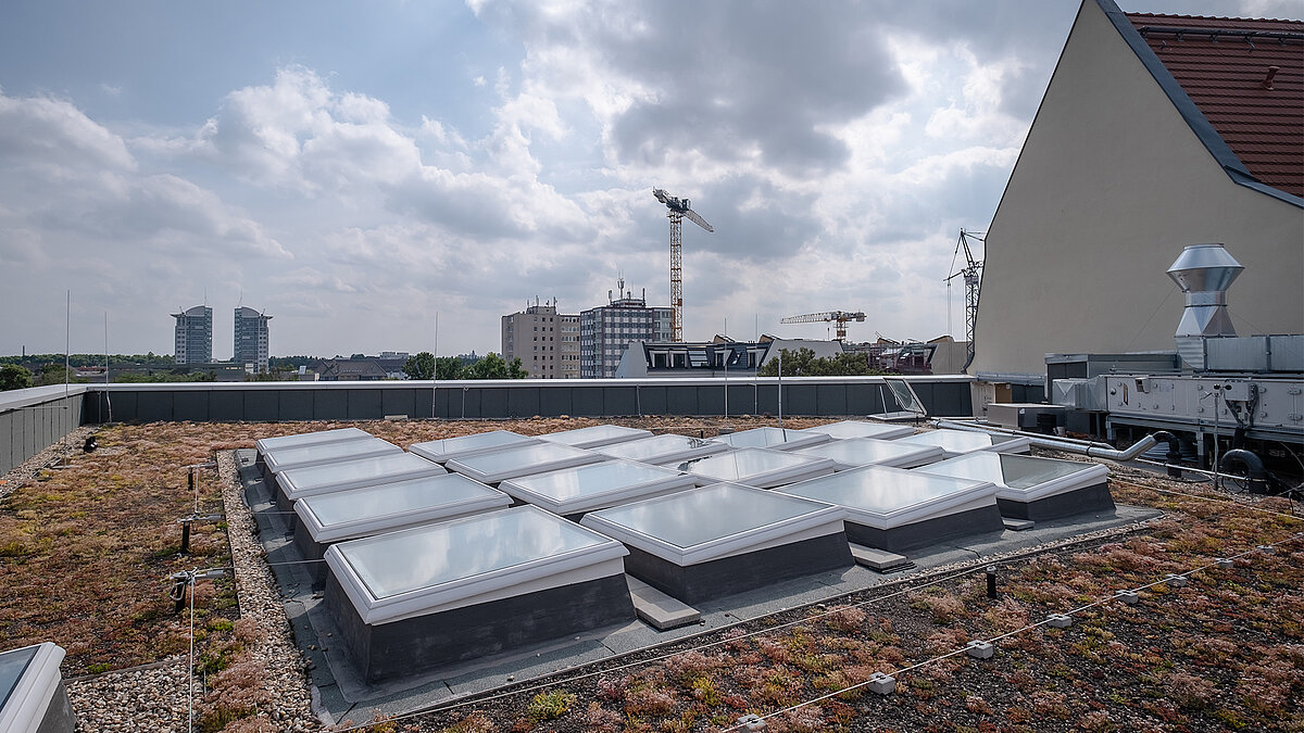 LAMILUX Glass Skylights on the Green Roof of the Modersohn Elementary School in Berlin