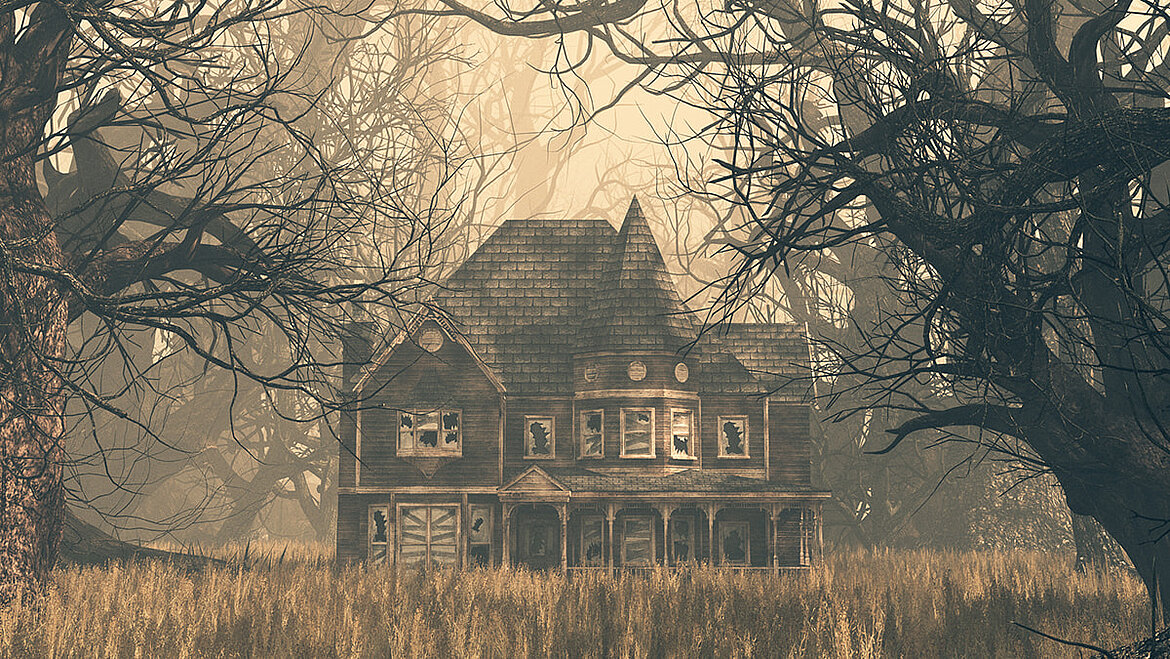 Ruin Ruin | insights by LAMILUX