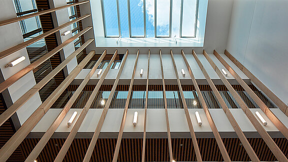 Harris Academy Sutton featuring a spacious atrium with vertical wooden slats and a large glass roof providing natural daylight