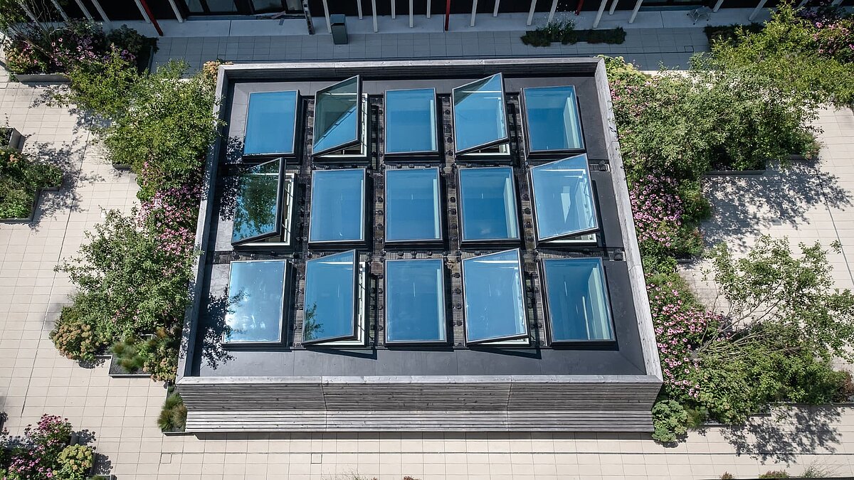 Aerial view of a square glass roof surrounded by green plants on a flat roof