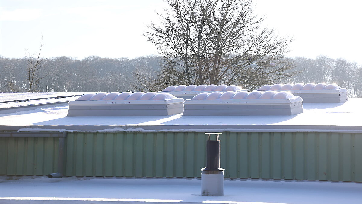 Winter view of the "Ab in die Box" building at Diemelsee with snow-covered skylights on the roof.