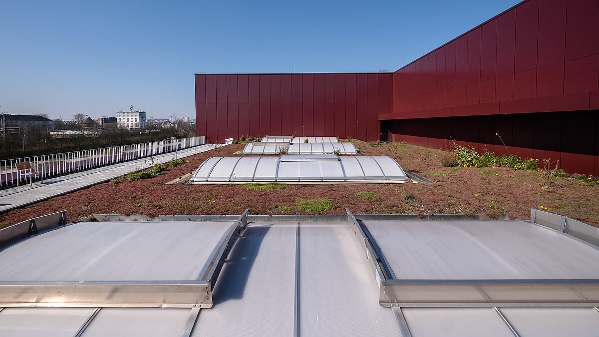 Green flat roof of the Hamburg State Opera's storage facility with skylights and modern architecture.