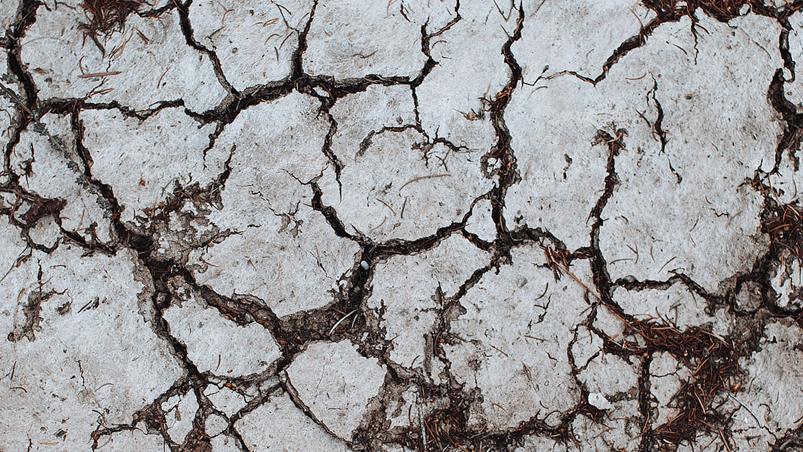 Drought Drought | insights by LAMILUX