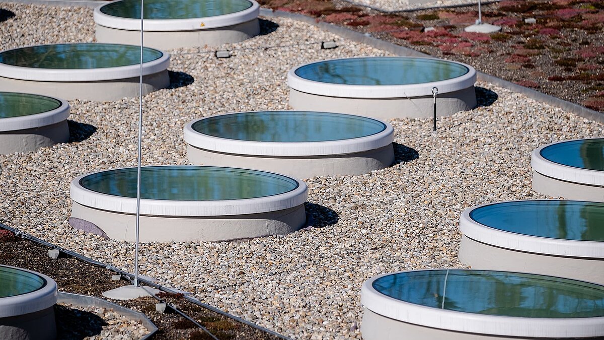 Several round flat skylights on the green roof of St Severin's kindergarten, partially covered in snow.