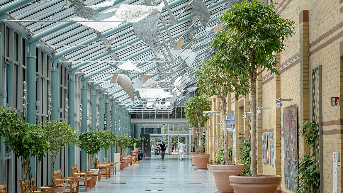 Bright passageway with glass roof, large plants and seating in a public building.