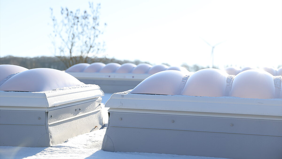 Several F100W skylight domes covered in snow.