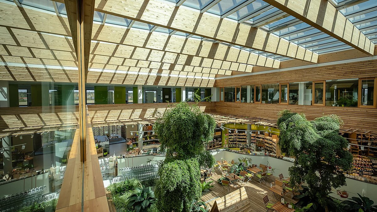  Upper view of the bright atrium in the Byodo organic food store in Mühldorf, featuring large glass skylights, wooden cladding, and lush plants.