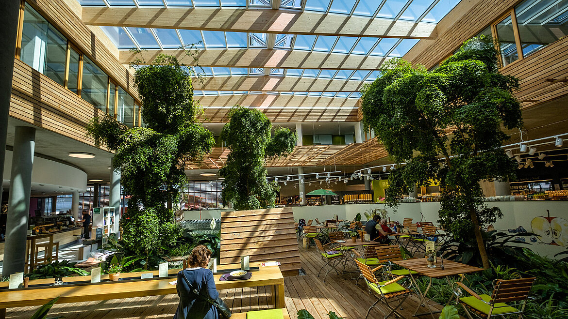 Bright indoor atrium with wooden furniture, lush green plants, skylight roof and dining guests