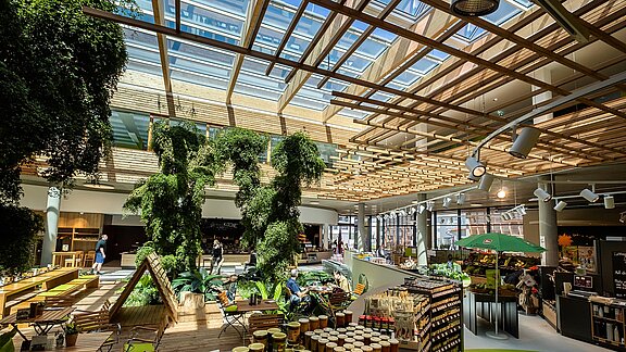 Interior of the Byodo organic food store in Mühldorf with plants, natural light, and wooden elements.