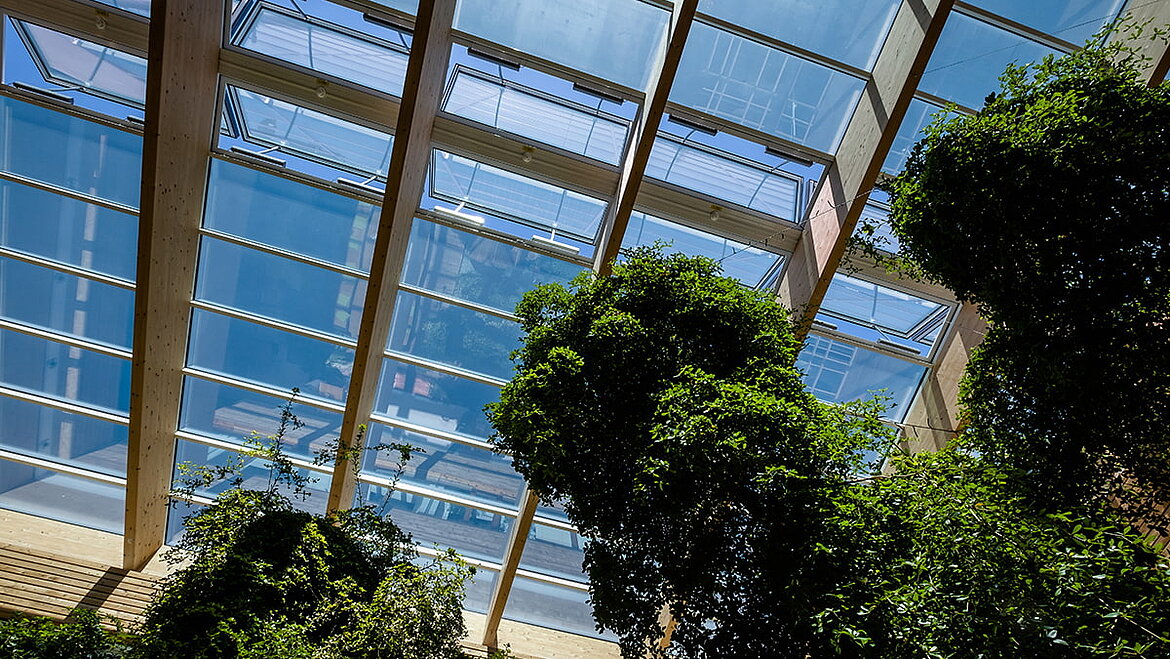 Energy-efficient daylight systems provide more light, more air and more climate protection View out of the glass roof of a building into the blue sky | insights by LAMILUX
