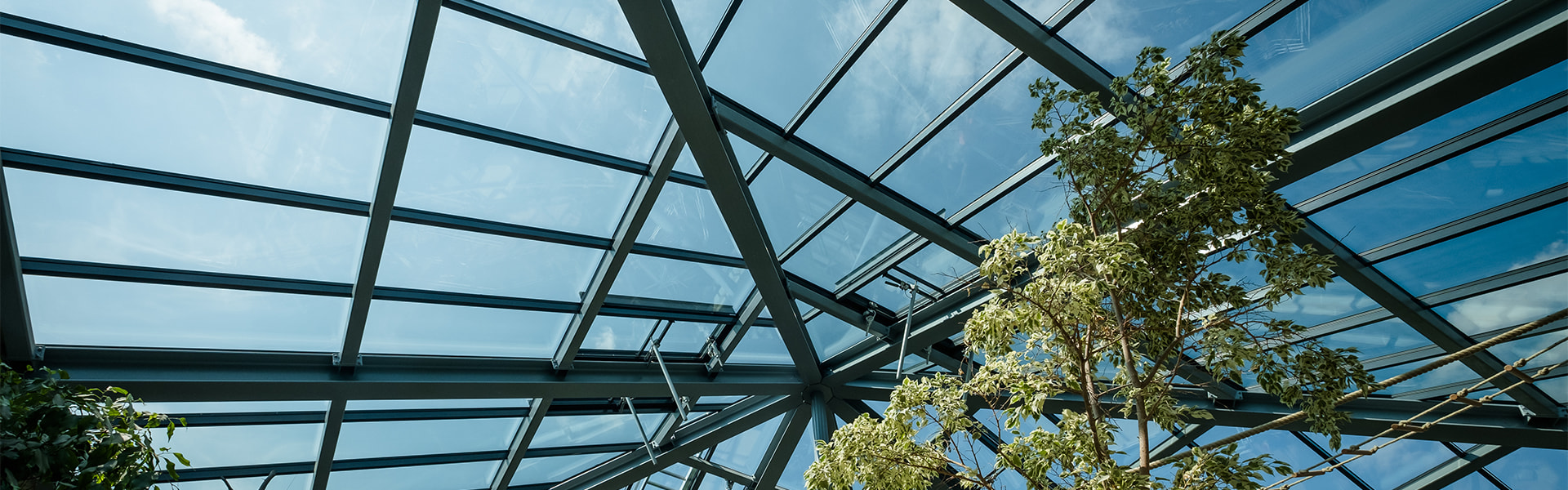 Glaspyramide im Zoo Neuwied | insights by LAMILUX