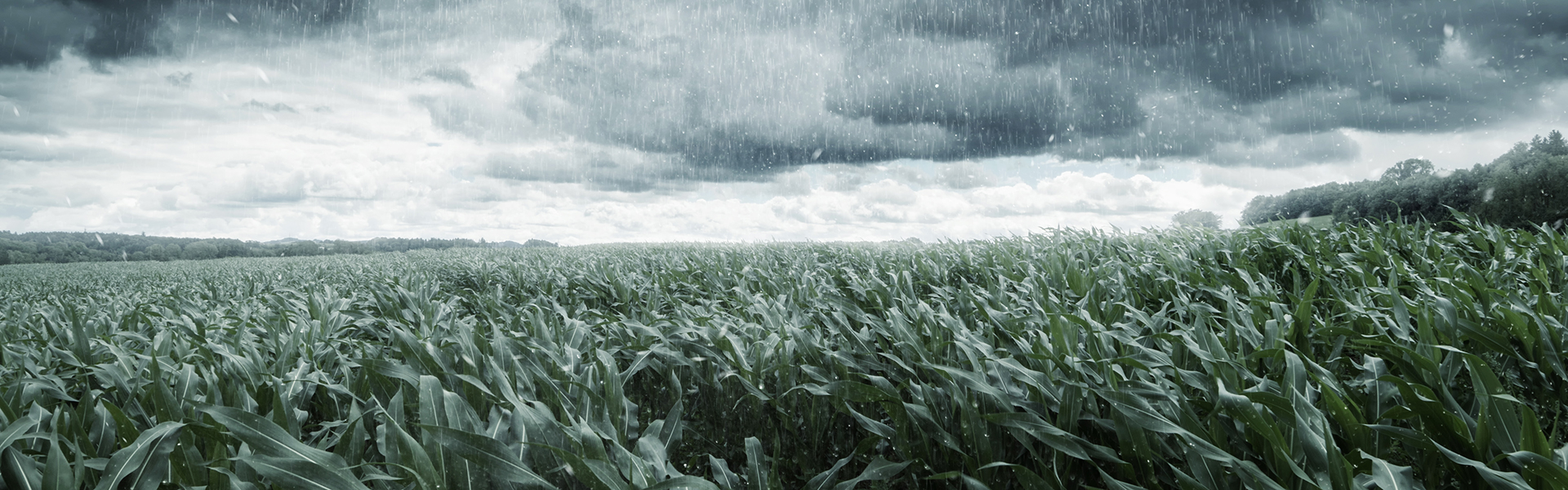 Unwetter über Feld | insights by LAMILUX