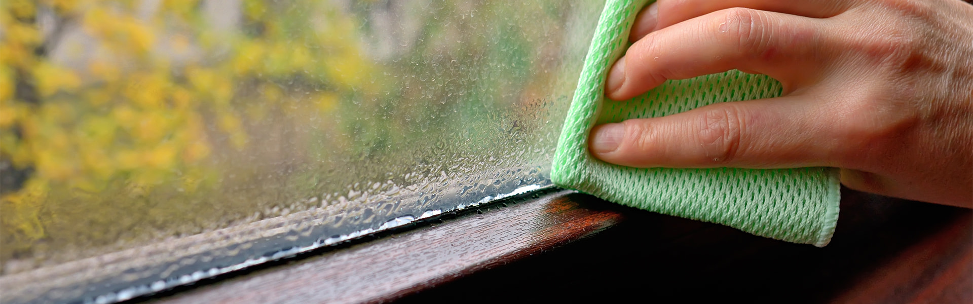 Person wischt mit einem grünen Tuch das Kondenswasser am Fenster ab.