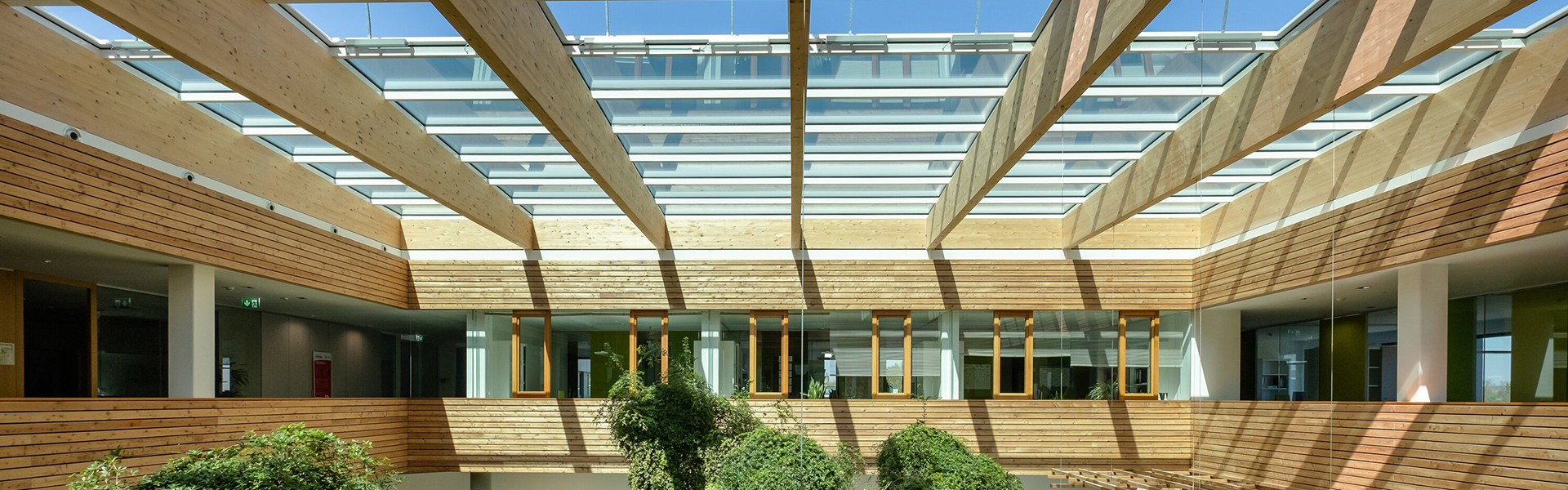 Bright modern building atrium featuring wood cladding, glass skylight roof and green courtyard plants
