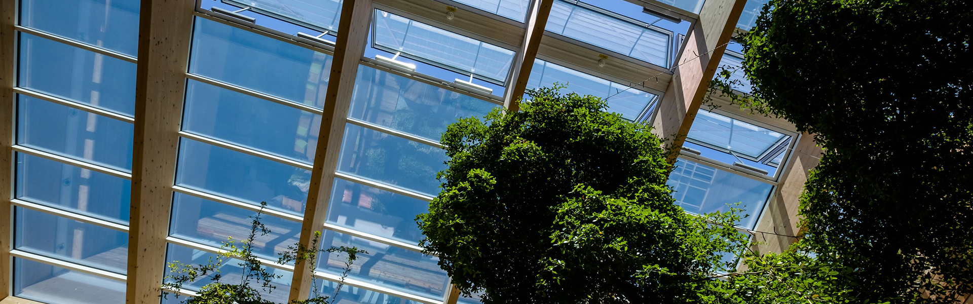 Green atrium with glass roof, wooden beams and natural daylight