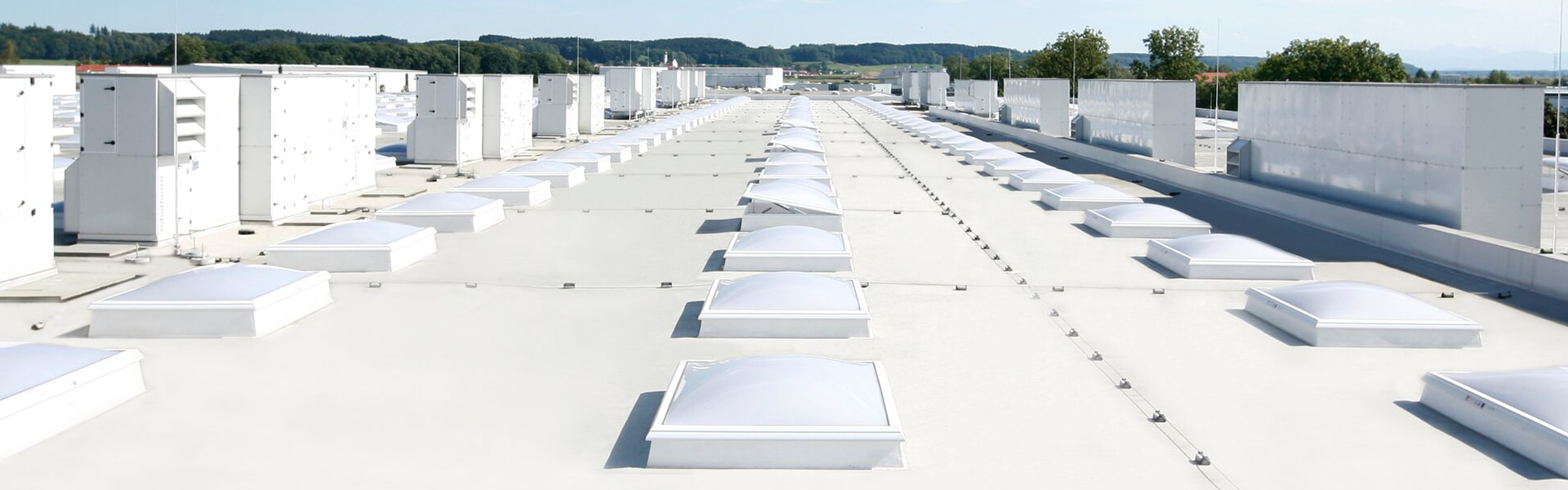 Mehrere Lichtkuppeln auf einem Flachdach | insights by LAMILUX