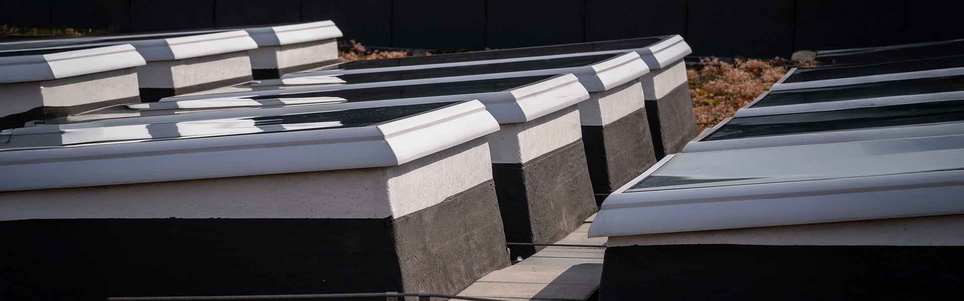 Flat roof with modern skylights and greenery